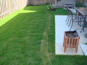 Service picture 104 (1)
